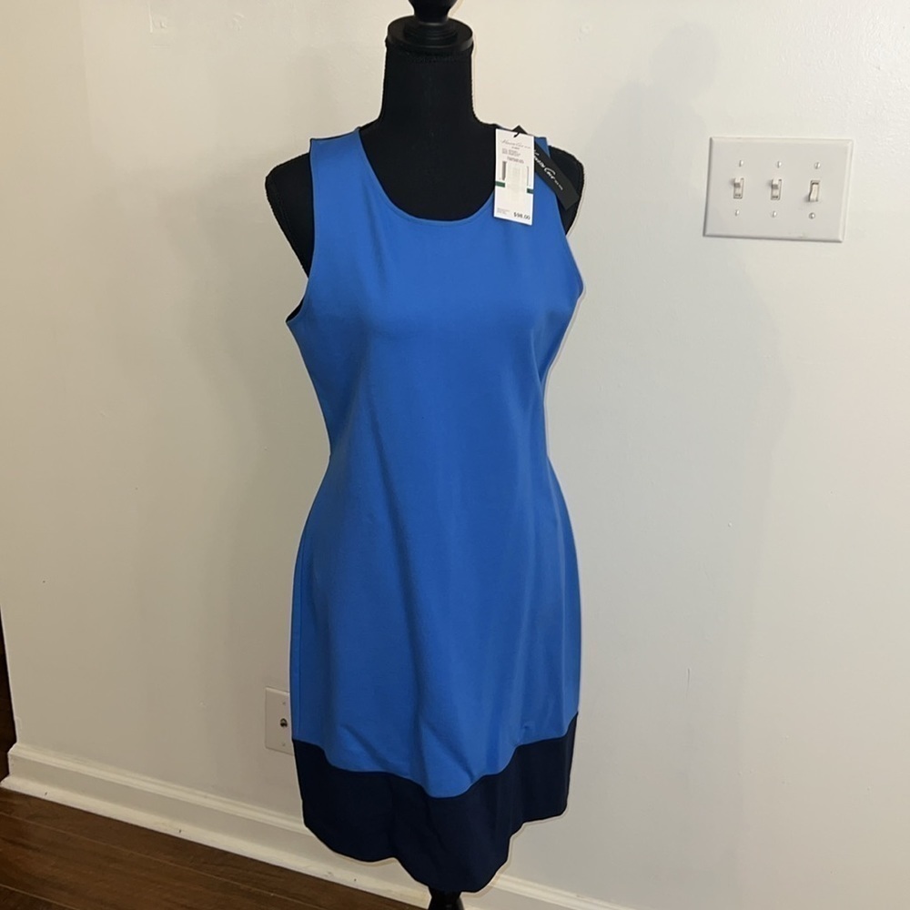 NWT Kenneth Cole Color Block Dress, sz L.